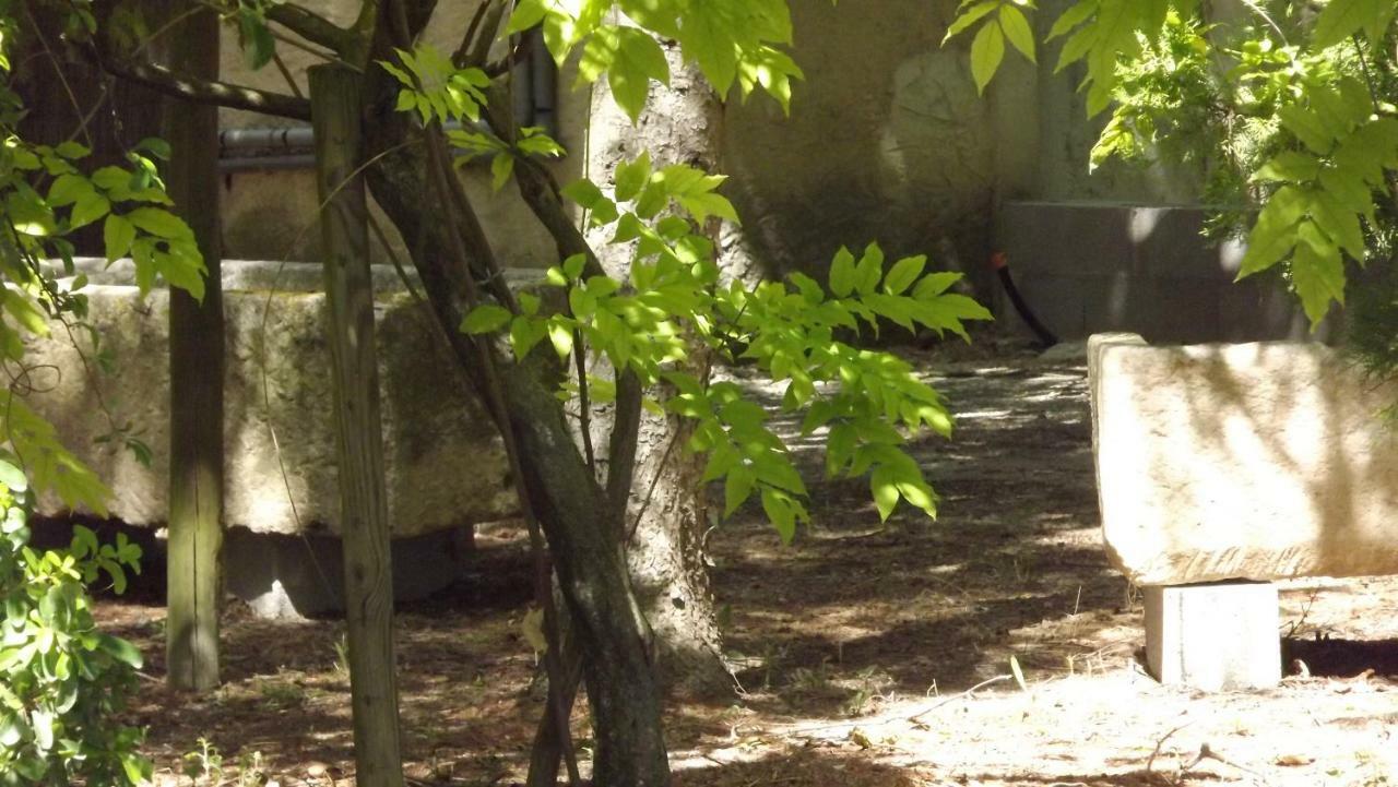 La Bastide Bed & Breakfast Cavaillon Exterior foto